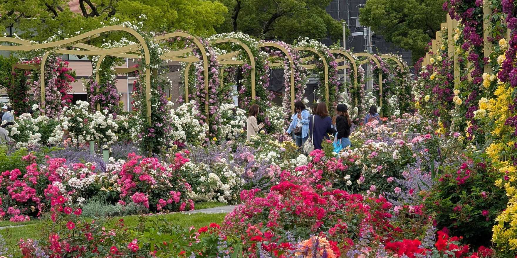 ばら公園